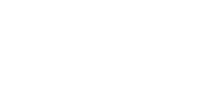 Partner 6